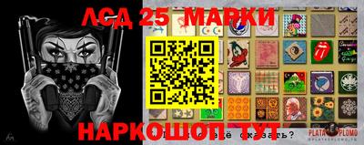 гидропоника Балашиха