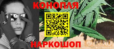 гидропоника Балашиха