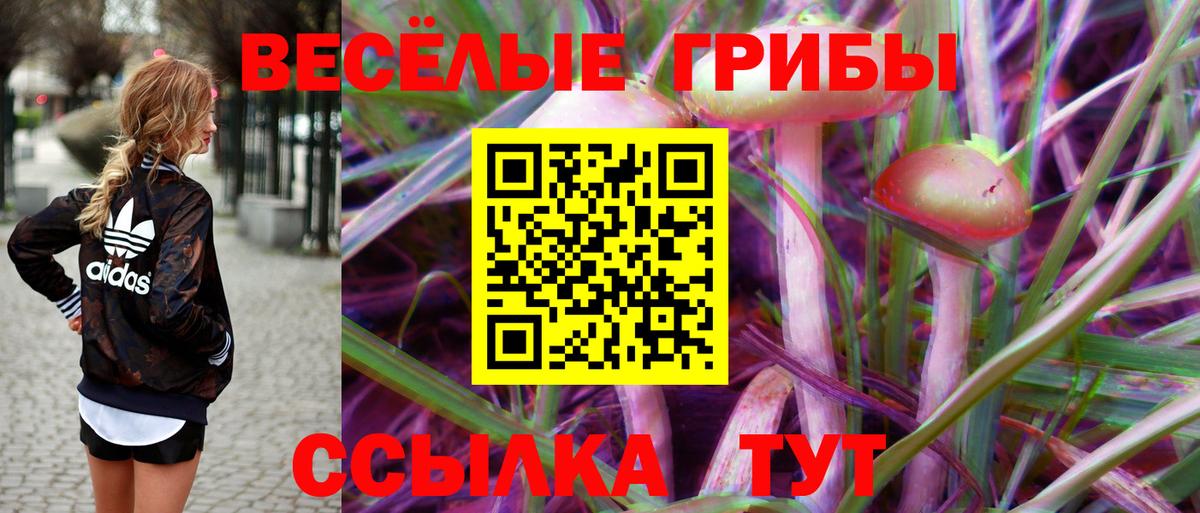 Псилоцибиновые грибы Cubensis Городец