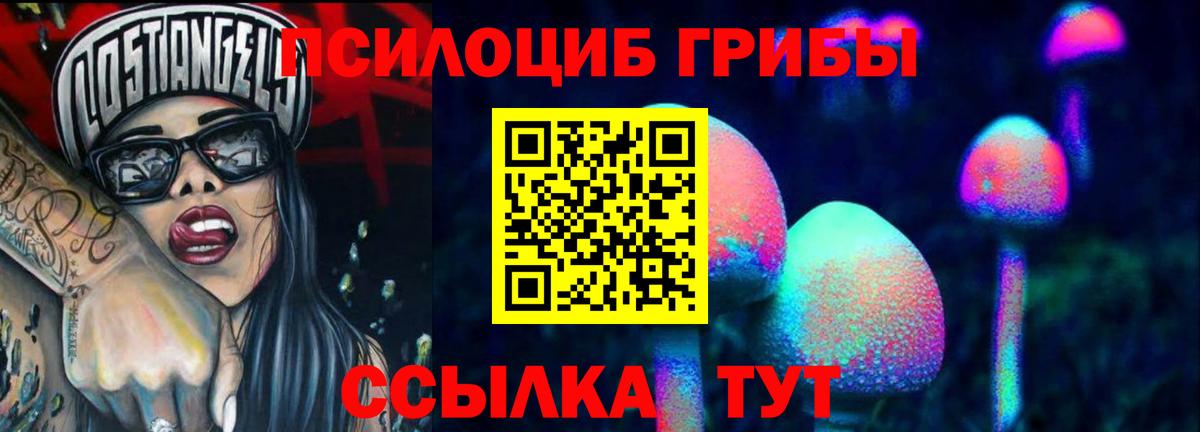 Галлюциногенные грибы прущие грибы  Вход с VPN  Городец 
